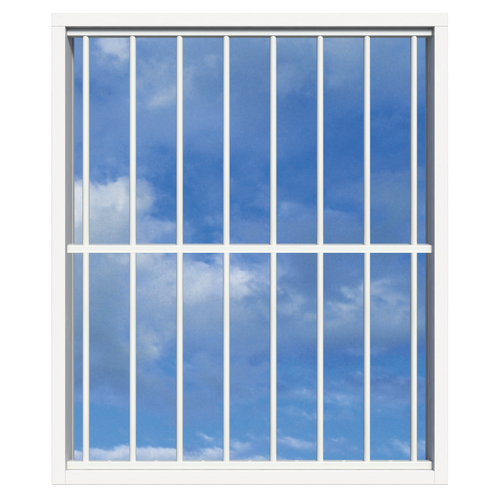 SecuBar Lichtkoepelbeveiliging Fix & Go - 8 spijls